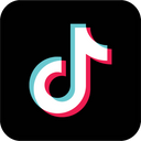 Standard TikTok Logo